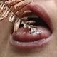 Lick the Bracken