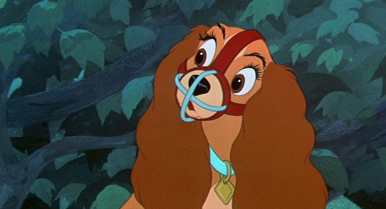 Movie 15: Lady and the Tramp