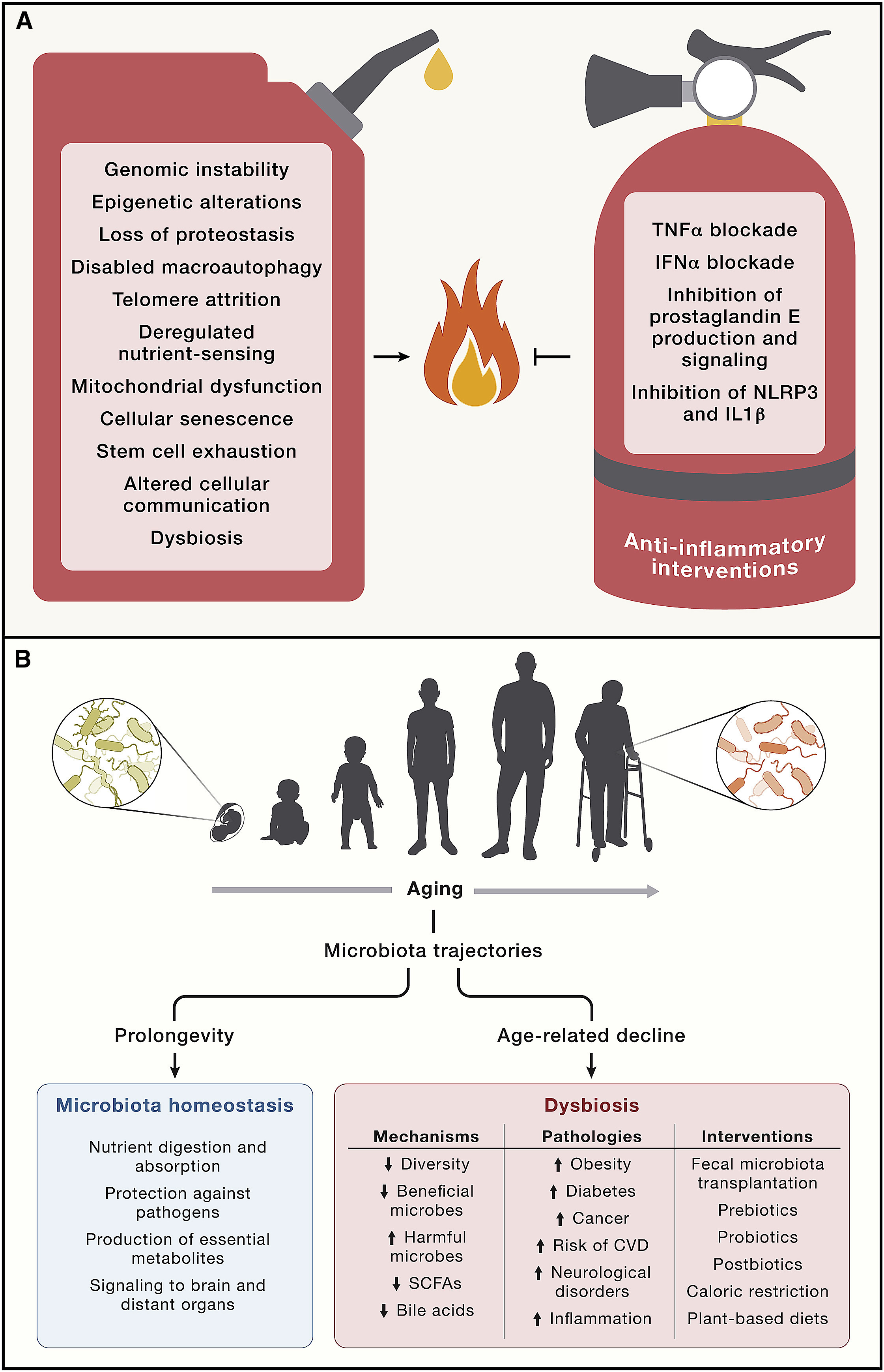 retatrutide cycle Substack Series 3 of 6: Retatrutide – The Next Frontier in Longevity and  Metabolic Health