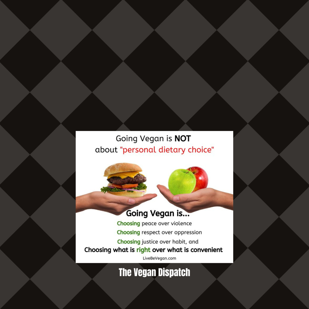 Going vegan transcends individual preference, addressing broader ethical, environmental, and societal concerns. It reflects a commitment to animal welfare, sustainability, and global health, extending beyond one's personal diet to advocate for systemic change. Going vegan transcends individual preference, addressing broader ethical, environmental, and societal concerns. It reflects a commitment to animal welfare, sustainability, and global health, extending beyond one's personal diet to advocate for systemic change.