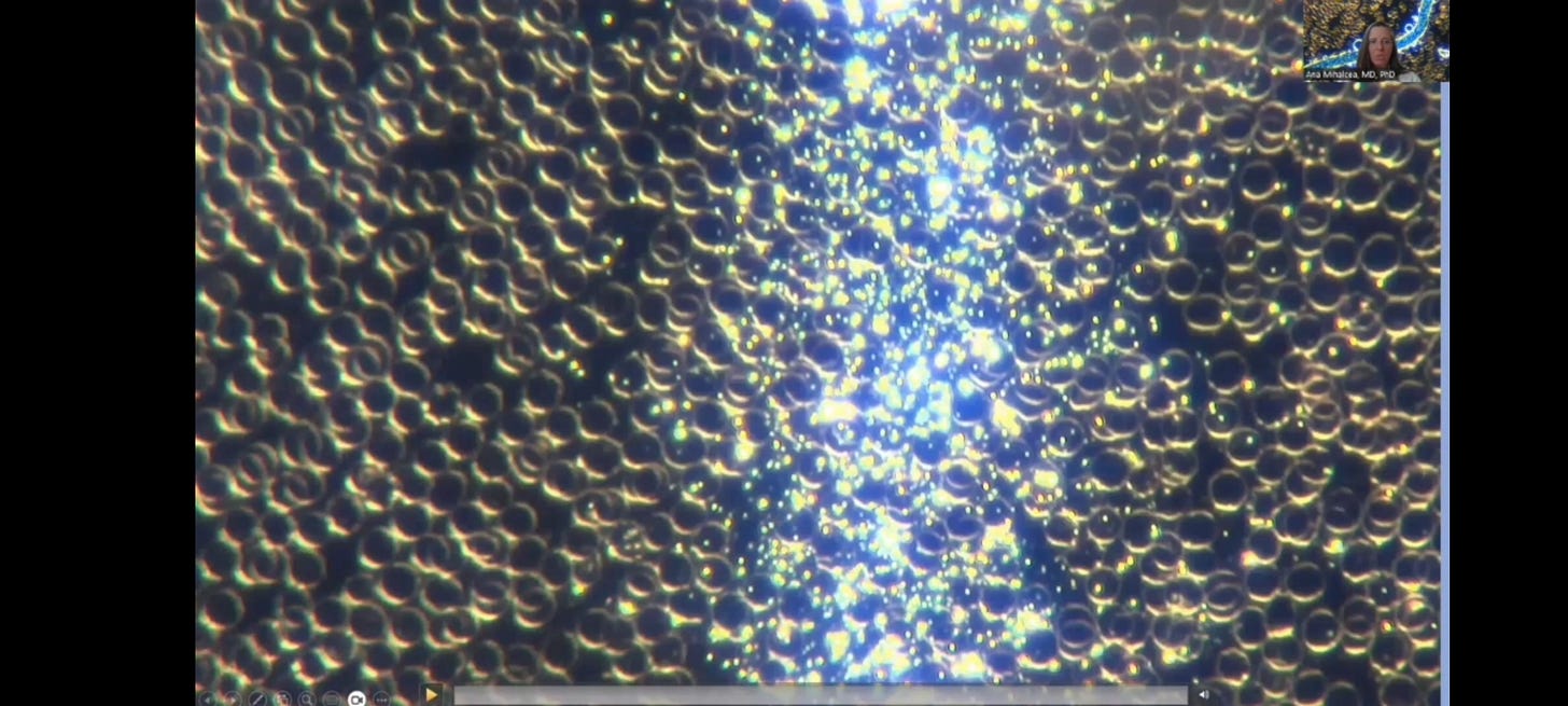 IT'S AN AI TAKEOVER THROUGH QUANTUM DOTS IN JET FUEL SPRAYING EXHAUST QUANTUM AI PARTICLES INHALATION ANNIHILATION
