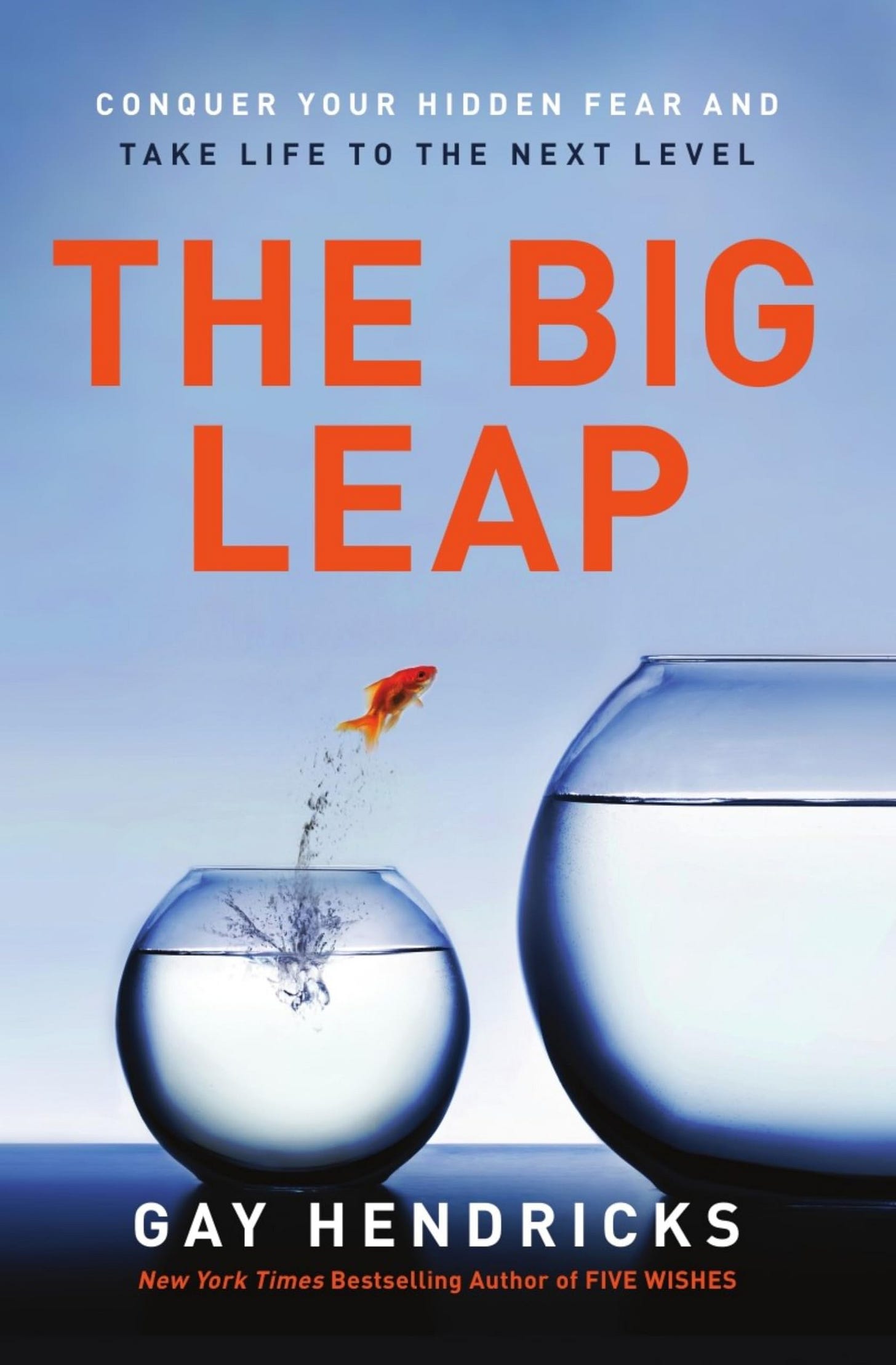 The Big Leap: Conquer Your Hidden Fear and Take Life to the Next Level:  Amazon.co.uk: Hendricks, Gay: 9780061735363: Books