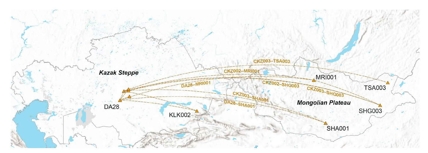 Map of eastern Eurasia showing IBD network connecting Kenggir individuals with Mongolia
