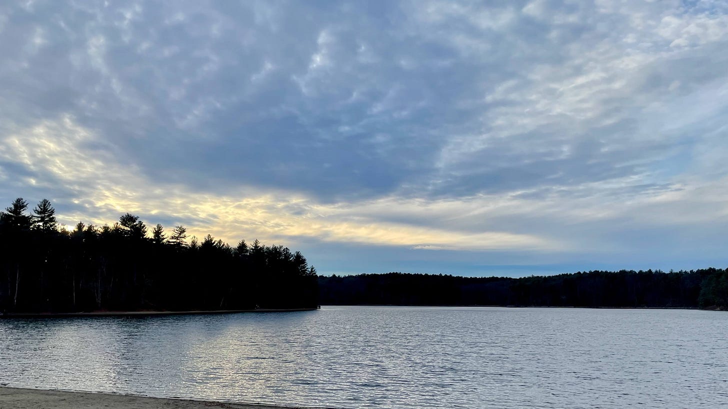 A pond with pine trees on the horizon, low clouds, and the yellow sunset just beginning to streak over the trees to the left. A pond with pine trees on the horizon, low clouds, and the yellow sunset just beginning to streak over the trees to the left.