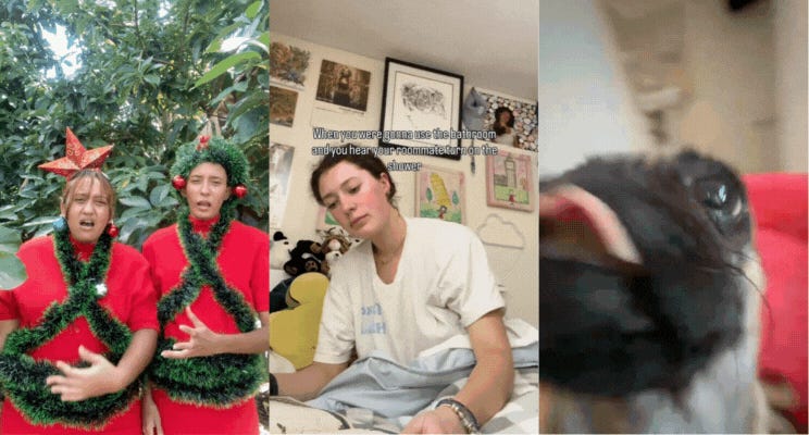 Thumbnail of boy aquariums [redacted]