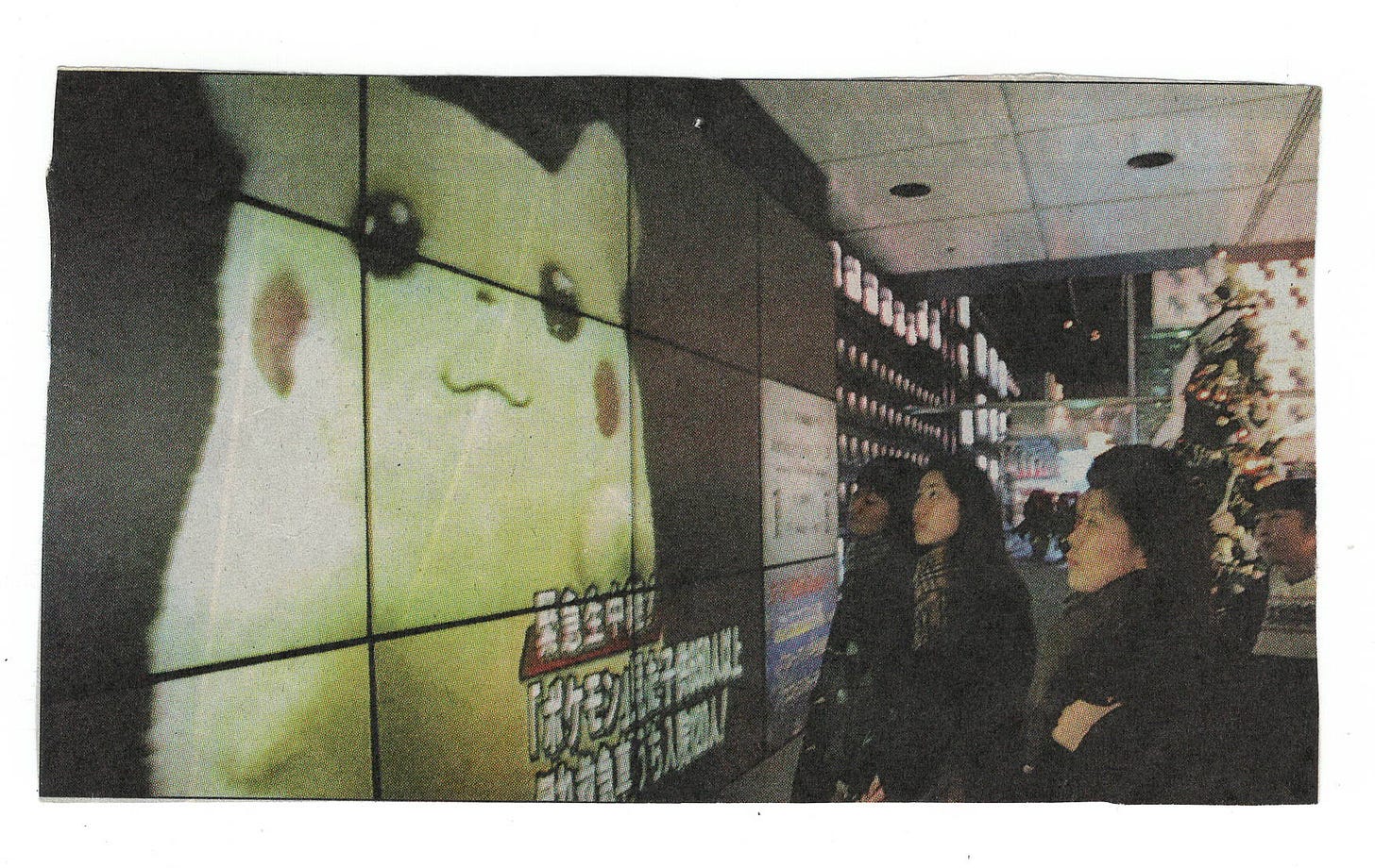 A newspaper clipping Jay made from a copy of Scholastic News, originally published January 26th, 1998 (Edition 5/6) A newspaper clipping Jay made from a copy of Scholastic News, originally published January 26th, 1998 (Edition 5/6)