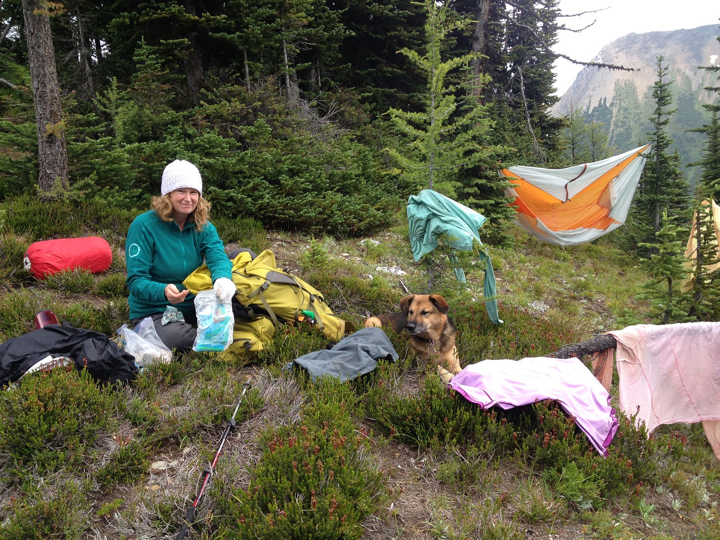 A woman and a dog sit in an alpine meadow framed by spruce trees with backpacking gear drying on bushes.