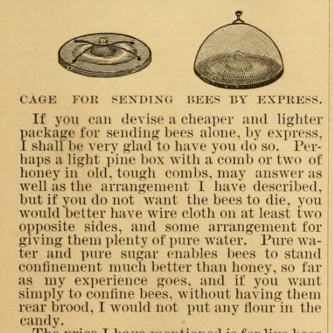 suggestion for mailing packages of bees in 1879 by A.I.Root suggestion for mailing packages of bees in 1879 by A.I.Root