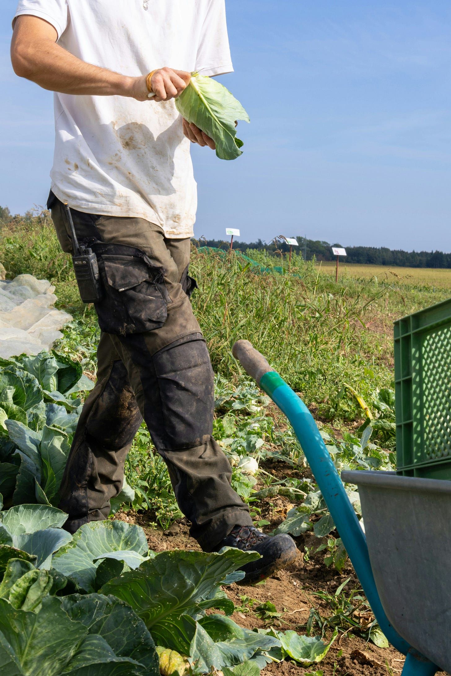 regenerative farmers are more profitable