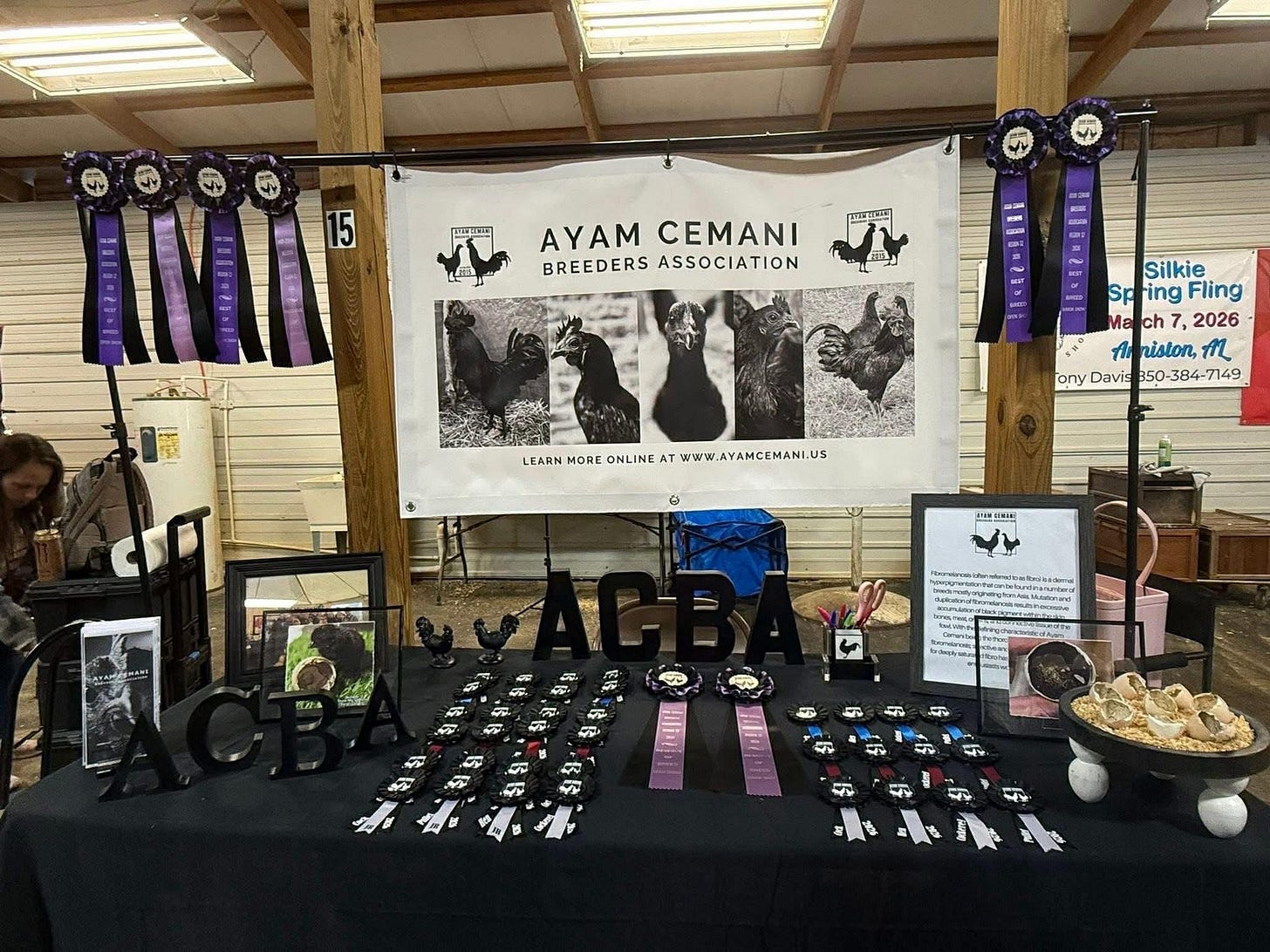 First imported to Europe in 1998 by Dutch breeder Jan Steverink, Ayam Cemani is often marketed as the "world's rarest chicken" or the "Lamborghini of poultry." 
