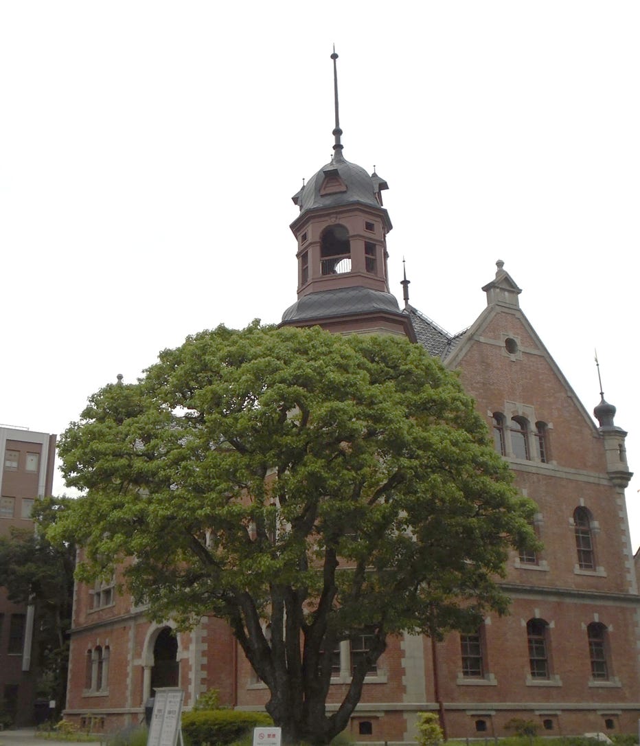A tree in front of a building

AI-generated content may be incorrect.