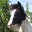 Eggsy Pony & Friends's avatar