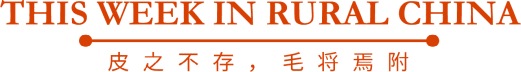 This Week in Rural China