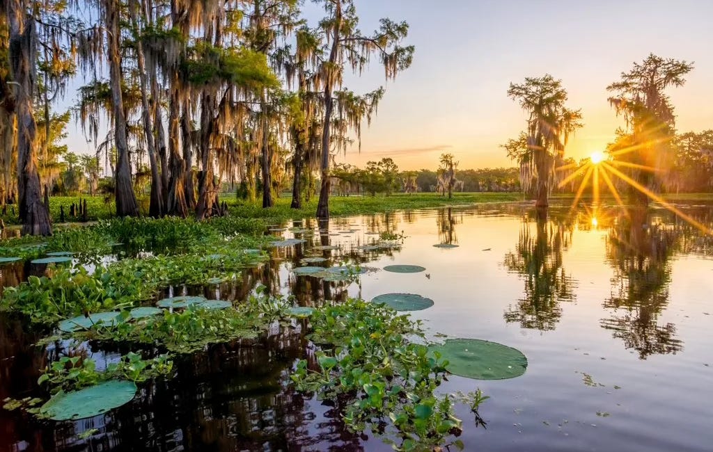Why We’re Doing This—and What Comes Next for The Bayou Insider