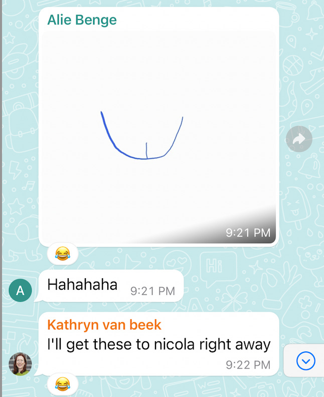 Various drawings of vulvas on a group chat