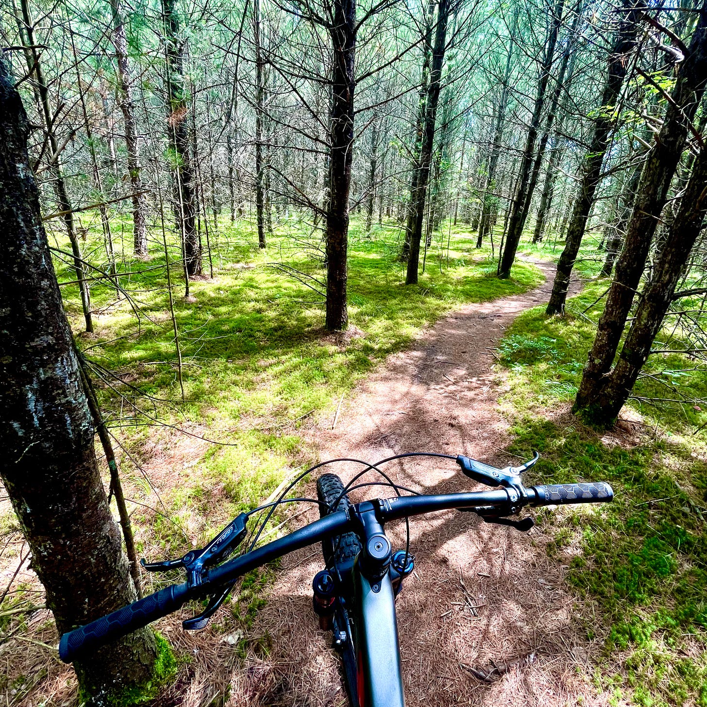 Insecure Guy In His Thirties Pedals Stolen Bike Back To Narnia