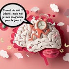  + de 100 horloges dans votre corps : qu'est-ce que le rythme circadien ?