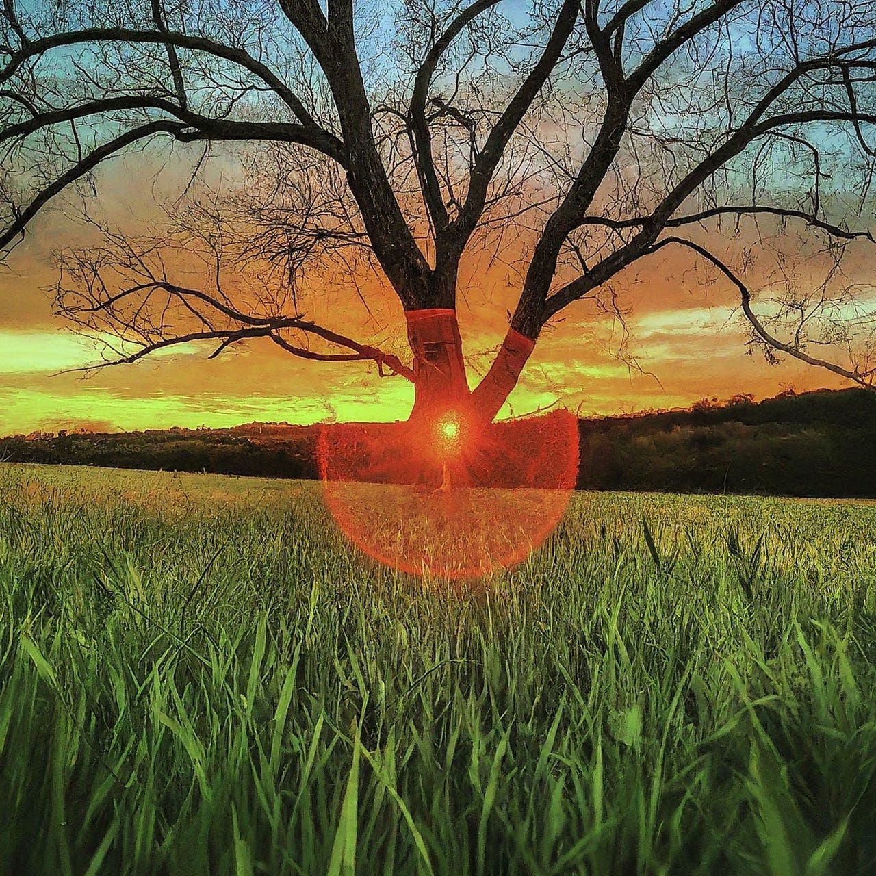 Artwork for KnowThyStory