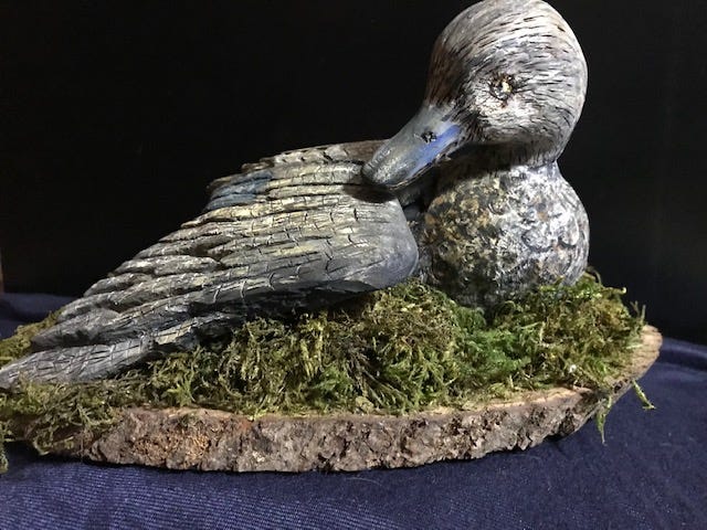 Nesting duck - Janet Wolfinger