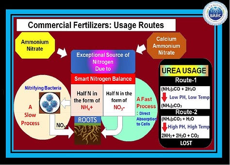 Atmospheric Pressure Portable Catalytic Air Plasma System for Fast Synthesis of Aqueous Nitrate & Nitrite Fertilizers