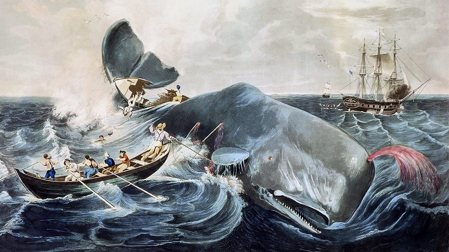 Moby Dick and the soul of American capitalism