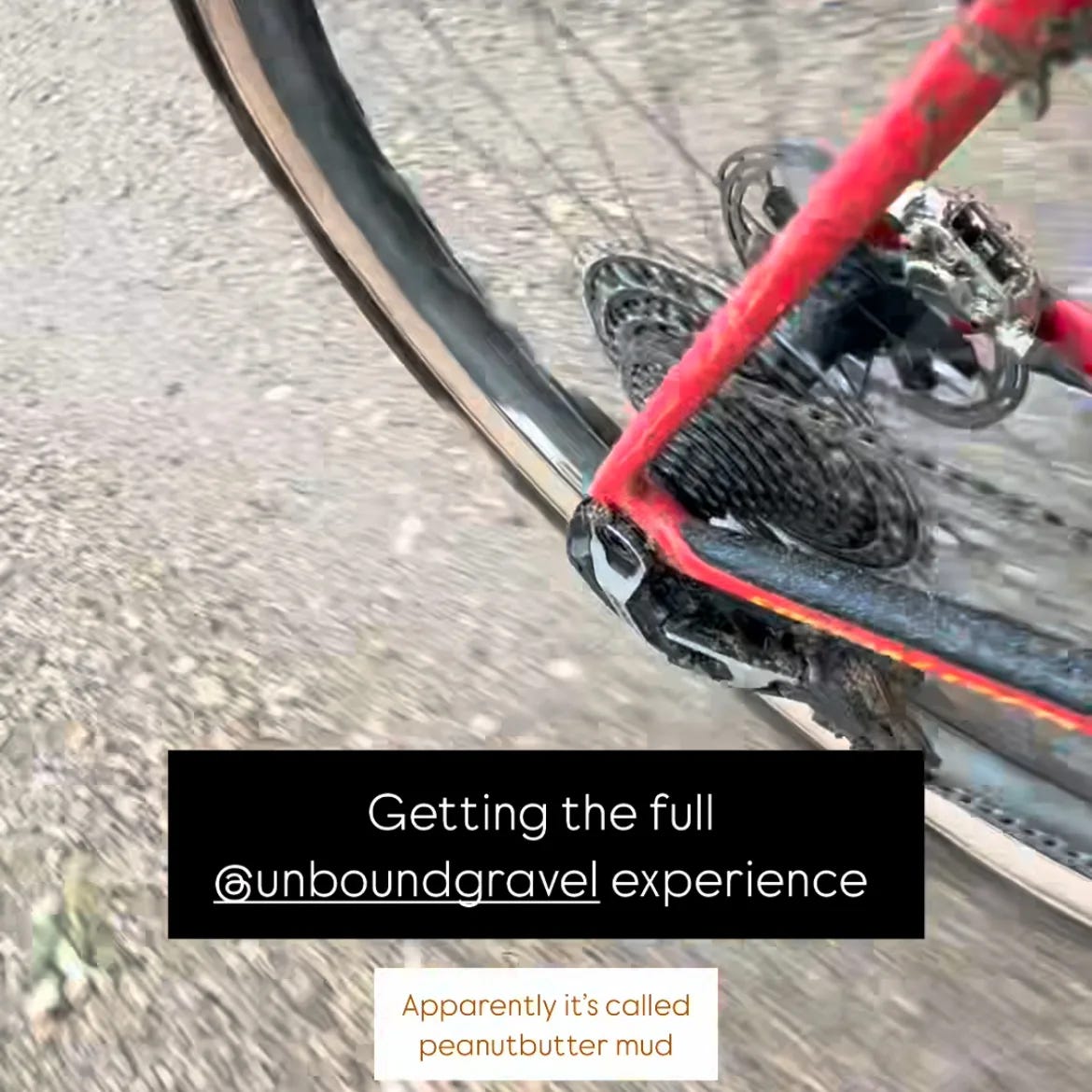 Close up of SRAM UDH on Diverge gravel bike.