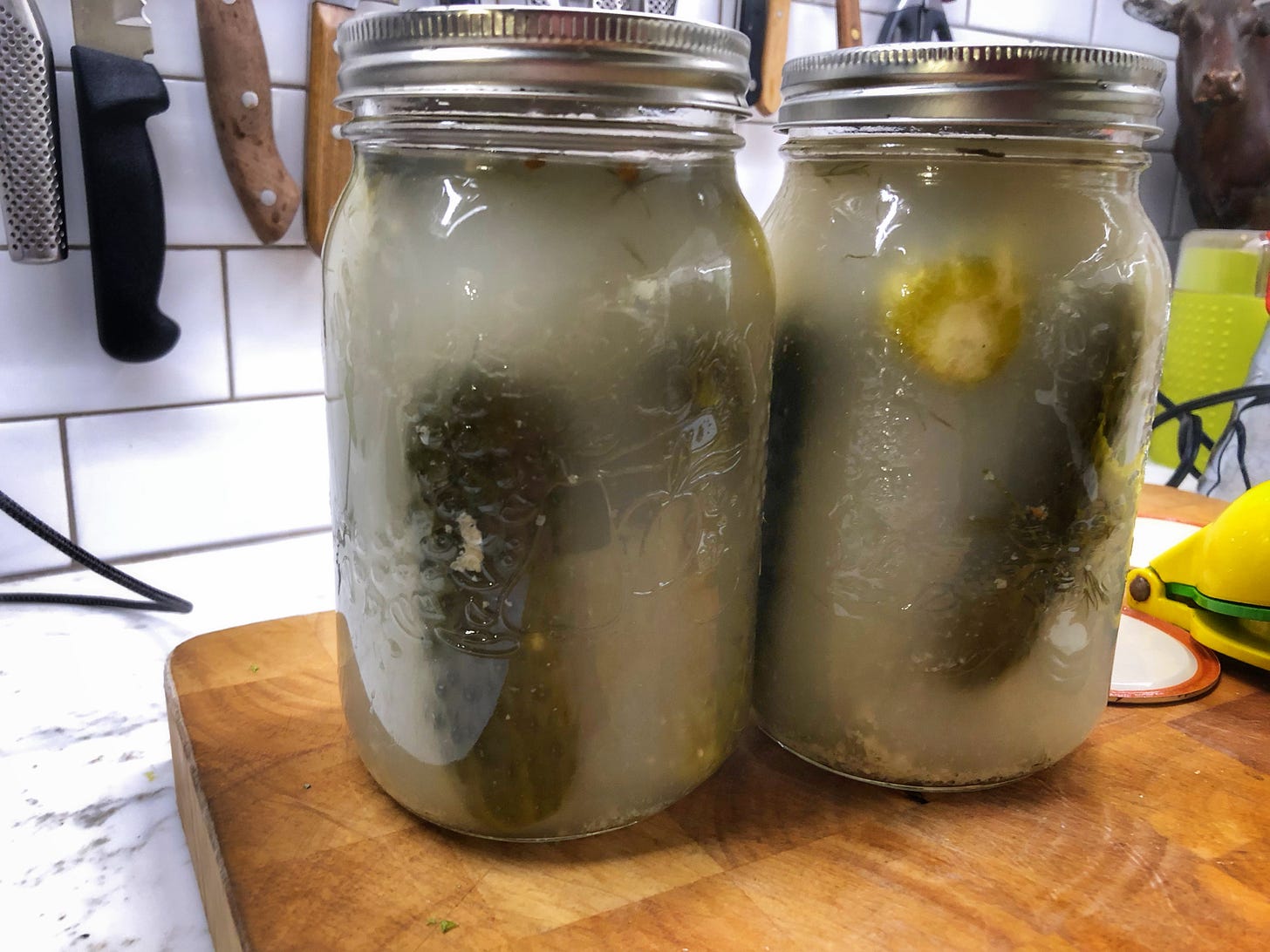 Two jars filled with cloudy brine and full-sour pickles