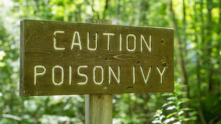 poison ivy home remedy