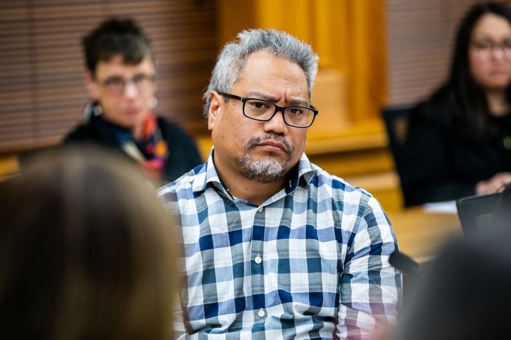 A firm maybe: Greens' Teanau Tuiono reflects on leadership | RNZ News A firm maybe: Greens' Teanau Tuiono reflects on leadership | RNZ News