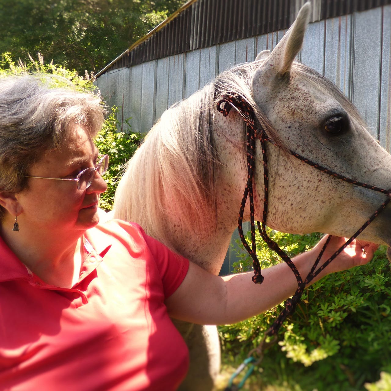 An Ordinary Woman's View