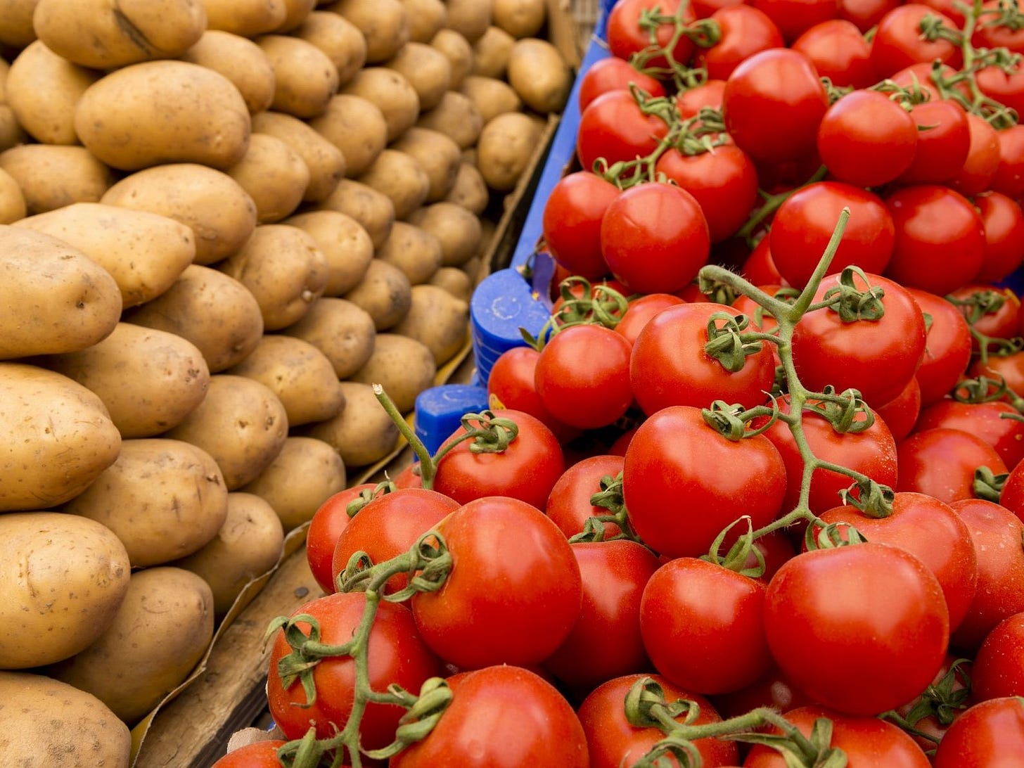Potatoes evolved from tomatoes and another South American plant 9 million  years ago, study finds | Live Science