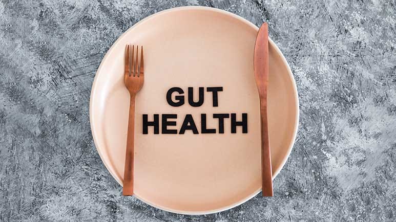 gut microbiome game changer