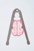 A cartoon picture of a brain held in a nutcracker.
