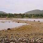 Let's Talk About The Bar