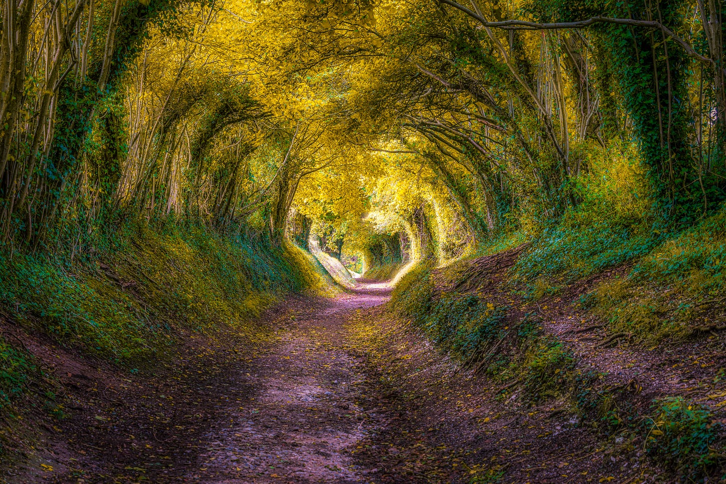 Capturing the Wild: 9 Essential Tips for Stunning Nature Photography