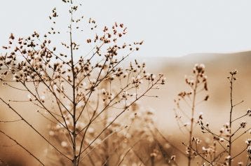 dry weather, dryness
