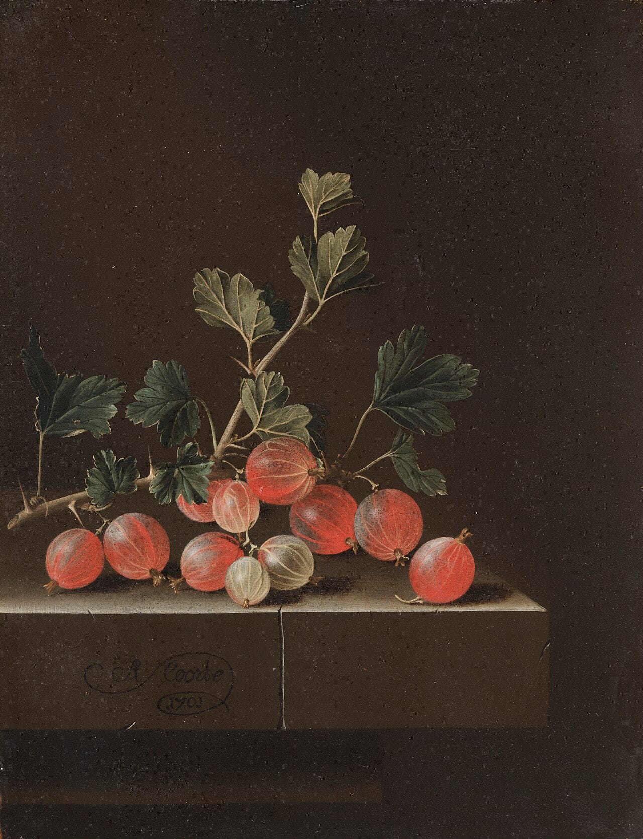 A stem of red and pink gooseberries on a gray stone ledge, lit hard against a dark background