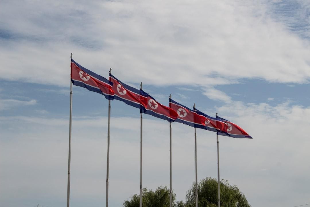 North Korean flags. North Korean flags.