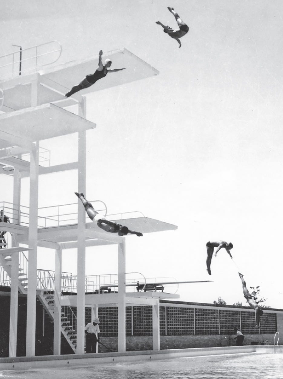 Did you take the plunge | Perth Voice Interactive