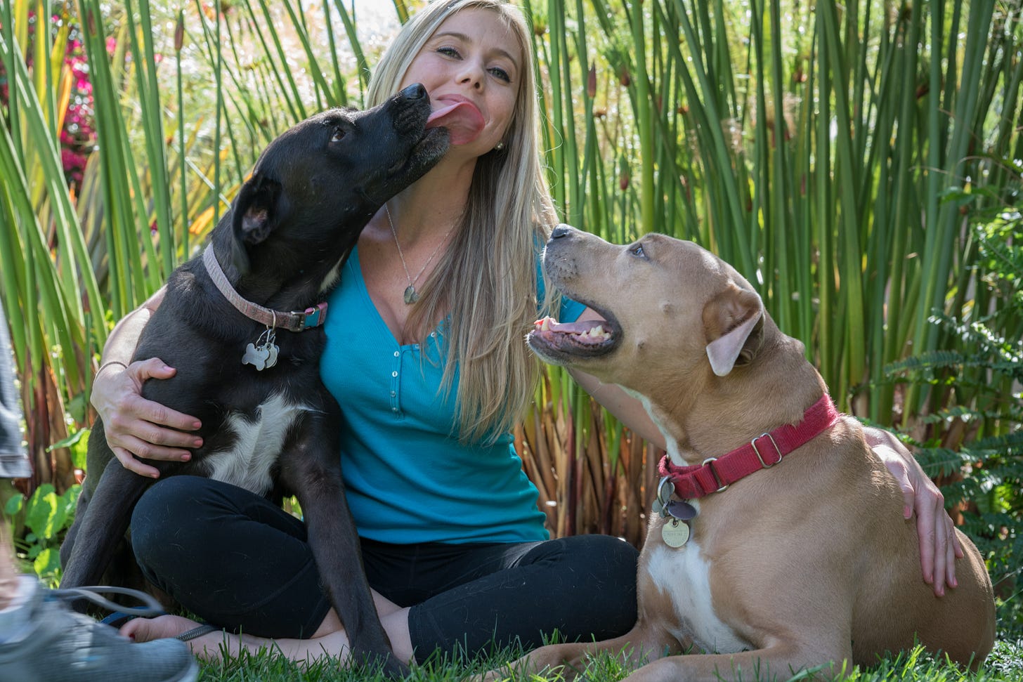 10 THINGS I’VE LEARNED FROM BEING A DOG MOM - Dog Fancast