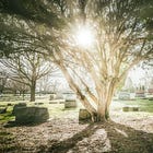 "Silence the pianos and with muffled drum..."