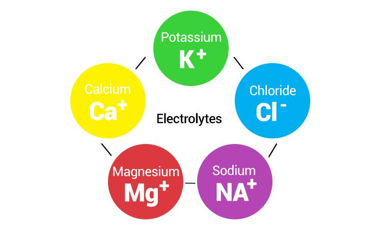 What Are Electrolytes? - Lotus of Life Chiropractic