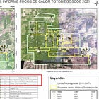 Infona y MADES sabían desde 2017 quienes deforestaban tierras Ayoreo