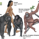 How Biological Evolution Made Progress Possible, But Not Inevitable