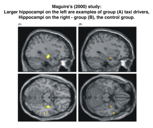Cultural Changes in the Brain: The Story of Atika and Amy | LSE Psychological & Behavioural Science Cultural Changes in the Brain: The Story of Atika and Amy | LSE Psychological & Behavioural Science