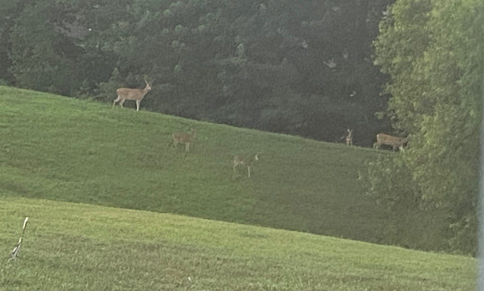 As for the Anointing you Received