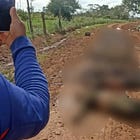 FARC Against FARC