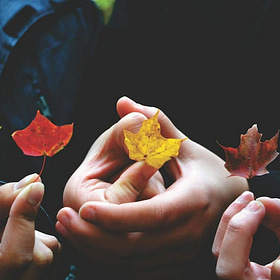 Online communities that support creative, highly sensitive, gifted, neurodivergent people