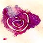Linda W's avatar