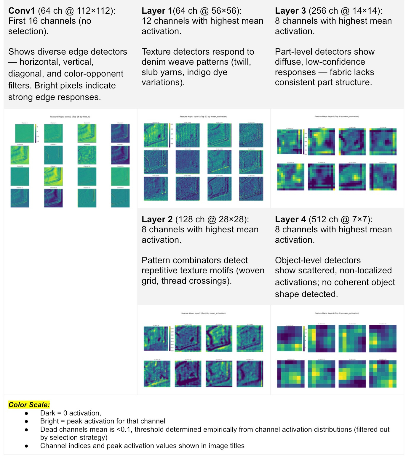 Feature-map Visualisation: When models see what isn’t there